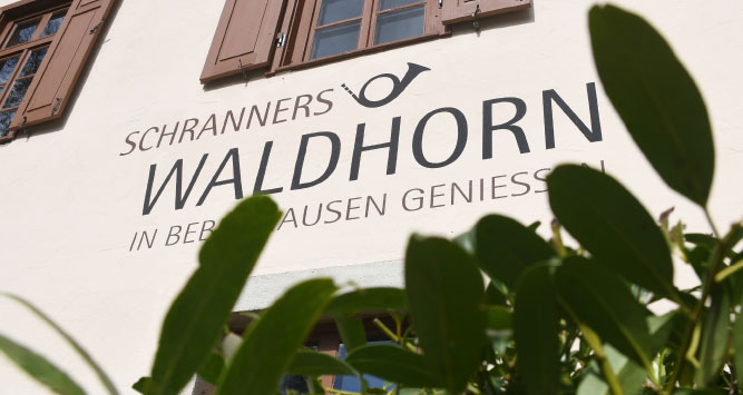 Schranners Waldhorn – Neues